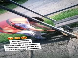 Водитель трамвая вышел покормить котика на остановке