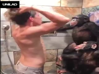 Помощники:)