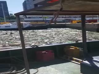 Мусор в порту