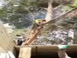 Пришибло краном