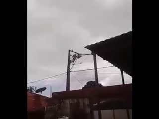 В Бразилии мужчина решил бесплатно подключиться к городской электросети