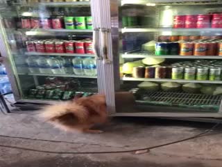 Коротко о погоде...