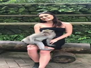 Бесцеремонный примат оголил зазевавшуюся туристку на Бали