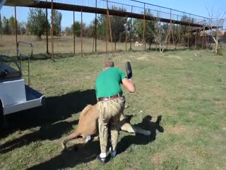 Царь царей...