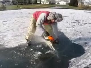 Жадная щука