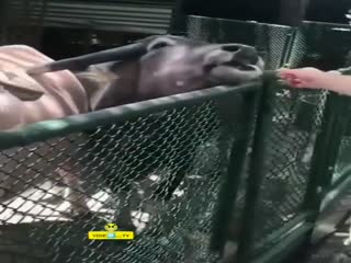 Неожиданно!