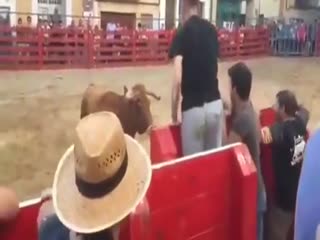 Случай на корриде