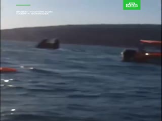 Спасение пассажиров с перевернувшегося в Чёрном море прогулочного катамарана