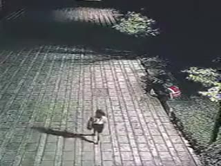 Строительные рабочие вспугнули насильников