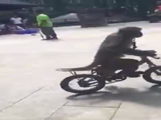 Эй, красотка, вечером свобод...?