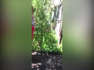 Война за скамейку у подъезда в Волгограде