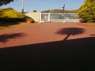 Свой среди чужих