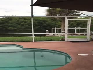 Нашествие крабов