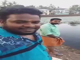 Много сомов кушают попкорн