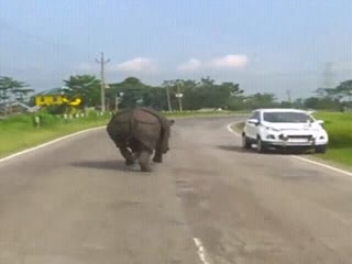 Наведение порядка на дорогах Африки