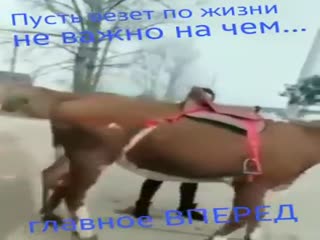 Удивительно...