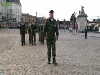 Бельгийские рембы