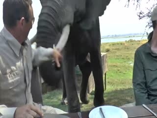 Что вы здесь расселись?!