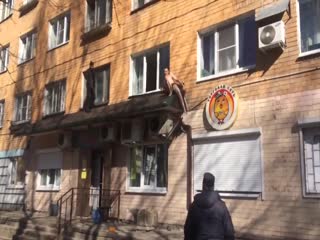 Очередной торчок