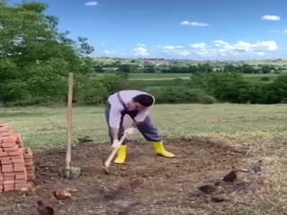 Повар от бога