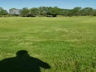 Шокирующее видео нападения хищников!