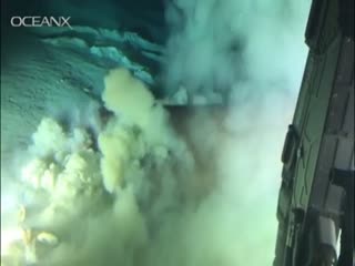 Шестижаберная акула - ровесник динозавров