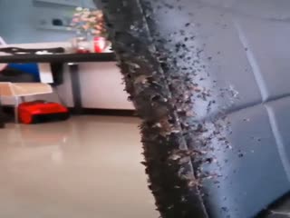 Oh, un plafond !Ого,потолок!