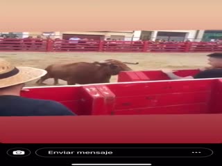 Ужасный ужас!