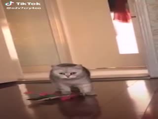 Любовный треугольник.