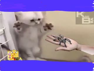 Зачем пугать маленького?