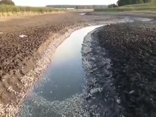 Страшная картина