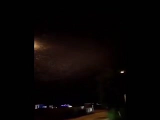 В Благовещенске выросли сугробы из насекомых