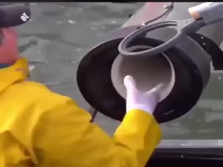 Транспорт для рыб