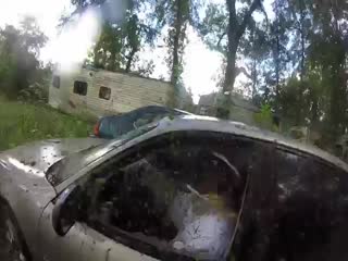 Осиное гнездо в автомобиле