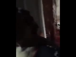 Жесть из коммуналки в Переславле