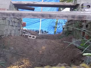 Монстр в доме 