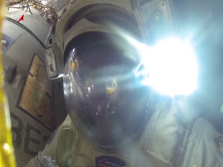 Наверное, это лучшая работа на свете