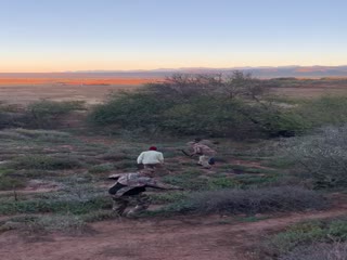 С этим зверем,шутки плохи...