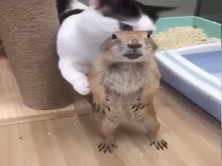 Давайте с Вами познакомимся!