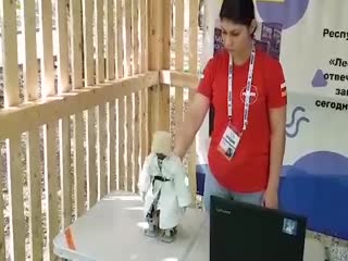 Как развивается российская робототехника?