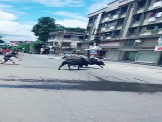 На улице индийского города