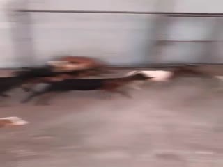 Реанимировал...