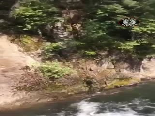 Чем выше, тем больнее падать