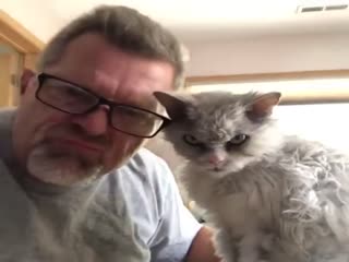 Доброжелательные