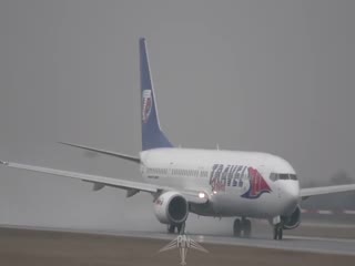 Видео попадания птицы в двигатель Boeing-737 на взлете