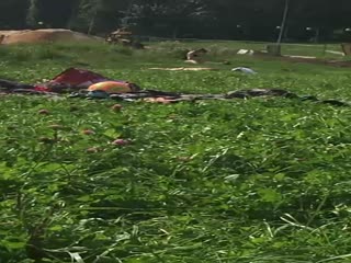 Да что с людьми такое творится?