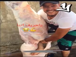 Это было больно...