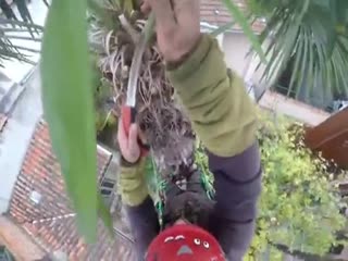 Садовник чуть не превратился в шашлык