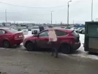 Добровольная помощница