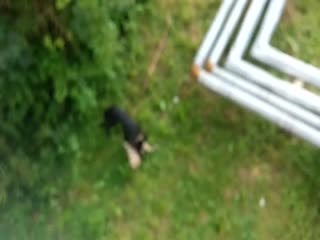 Совсем недавно мы писали о Курском живодёре, как всплыл ещё один случай